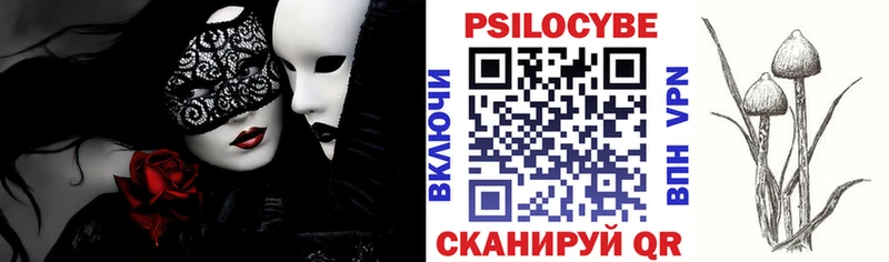 Галлюциногенные грибы Magic Shrooms  мега онион  Новосиль  закладка 