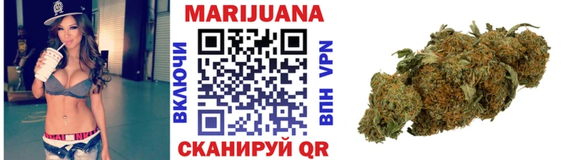 Каннабис планчик Новосиль